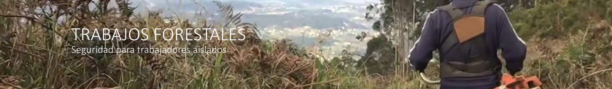 Hombre Muerto Forestal