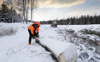 Trabajador forestal solitario en invierno