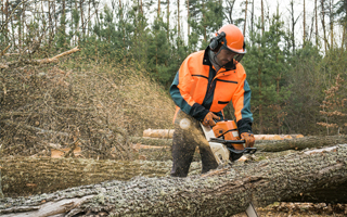Trabajador forestal solitario