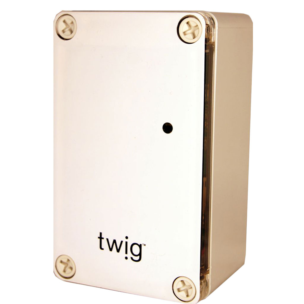 Twig Beacon